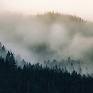 Hi! We are Sean & Samantha